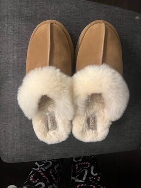 UGG disquette slippers